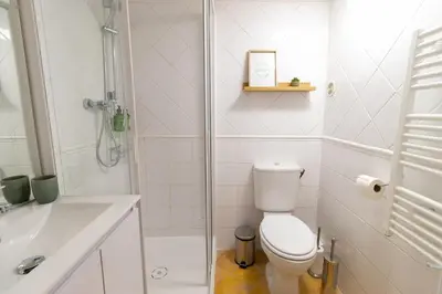 a bathroom with a shower and a toilet and a sink at Duplex avec terrasse, au cœur d'Aix-en-Provence in Aix-en-Provence
