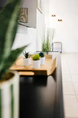 a kitchen counter with three plants on it at T2 cosy avec jardin & parking gratuit - Quartier Beauregard in Aix-en-Provence