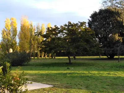 a park with trees and a grass field at Les lauriers in Aubignan