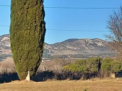 a tree in a field with mountains in the background at Les lauriers in Aubignan