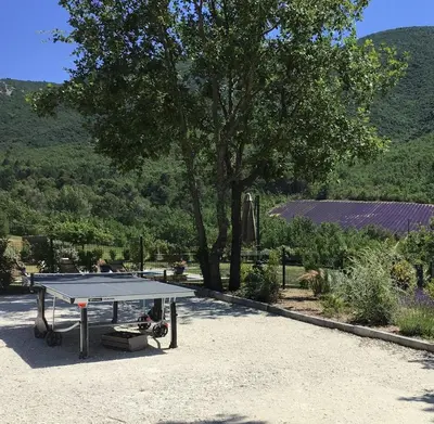 a ping pong table in front of a tree at Domaine de Battarel, 4 hectares en Luberon in Saint-Martin-de-Castillon