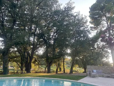 a swimming pool in a yard with trees at Magnifique Mas provencal au coeur des vignes in Mazan