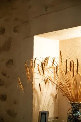 a vase with a plant in front of a wall at Mas de Thésée Piscine & 12 ha privés in Reillanne