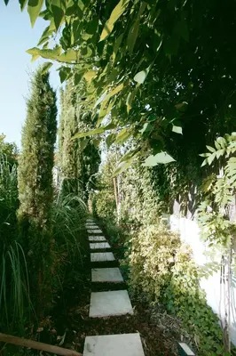 a garden with a stone path with trees at Maison Pertuis Provence in Pertuis
