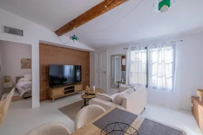 a living room with a couch and a tv at Appartement Belle Lettre 8 in Aix-en-Provence