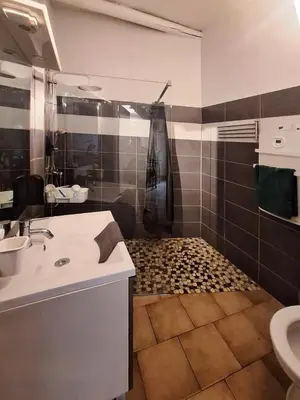 a bathroom with a shower and a sink and a toilet at L'olivade in La Fare-les-Oliviers