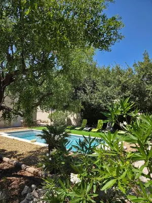 a swimming pool in a yard with trees at La Parenthèse Montilienne à 10mn d'Avignon in Monteux