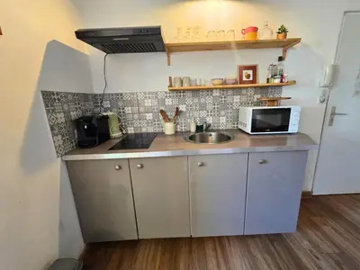 a small kitchen with a sink and a microwave at Magnifique appartement au cœur de la Venise Provençale in LʼIsle-sur-la-Sorgue