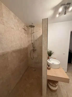 a bathroom with a shower and a sink at Appartement de la flûte in LʼIsle-sur-la-Sorgue