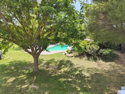 an overhead view of a tree and a swimming pool at Instant parfait en Provence Villa 4 personnes parc piscine privatifs in Monteux