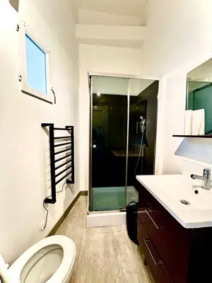 a bathroom with a shower and a toilet and a sink at Studio lumineux au cœur du Luberon Parking gratui in Cavaillon