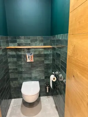 a bathroom with a toilet and a green wall at Terres de Durance in Charleval