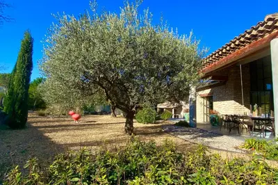 a tree in a yard next to a house at House for rent in Ménerbes Villa Carpe Diem in Ménerbes