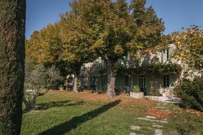 a tree in the yard of a house at Mas de La Lombarde Saint Rémy de Provence in Saint-Rémy-de-Provence