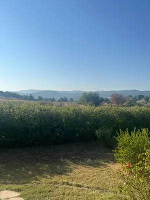 a field of weeds with a field of flowers at Suite privée tout confort in Gargas