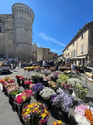 a bunch of flowers in pots in front of a castle at L'oustau étoilé in Gordes