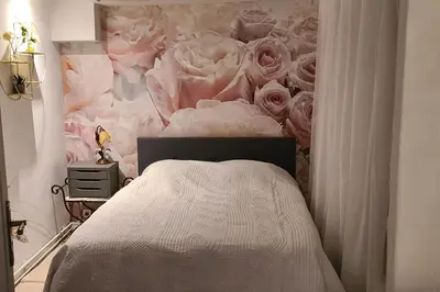 a bedroom with a wall covered in pink roses at Havre de paix au coeur historique in Aix-en-Provence