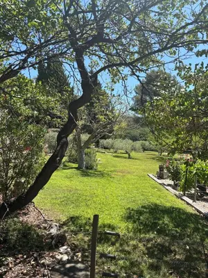 a tree in a park with a field of grass at Estate in Provence in Aix-en-Provence