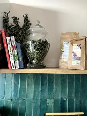 a shelf with a jar of plants and books at Une Parenthèse Aixoise in Aix-en-Provence
