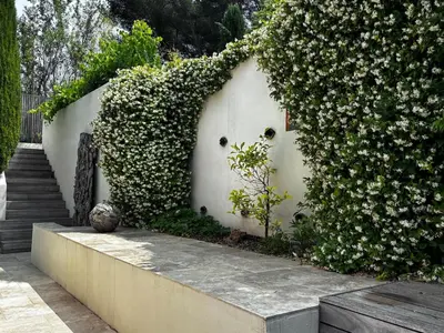 a white wall with a hedge with flowers on it at Maison V in Ventabren