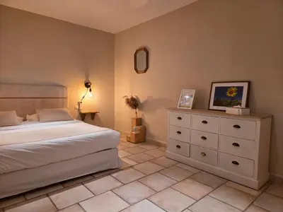 a bedroom with a bed and a dresser and a mirror at Domaine Les Gendalis in Saint-Saturnin-les-Avignon