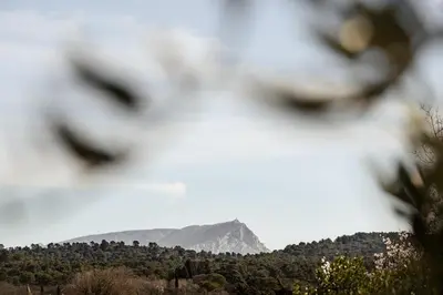 a mountain in the distance seen through a window at Grand Cèdre in Aix-en-Provence