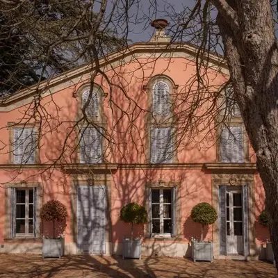 Grand Cèdre