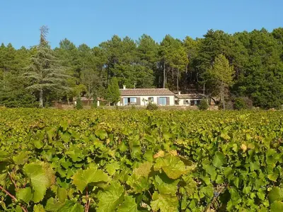 a field of crops with a house in the background at cheznico jas d la plane in Bédoin
