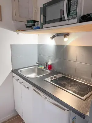 a kitchen with a sink and a microwave at Studio coeur de ville, rue Papassaudi in Aix-en-Provence
