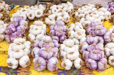 a bunch of onions sitting on a table at Joli appartement centre village au calme in Châteaurenard
