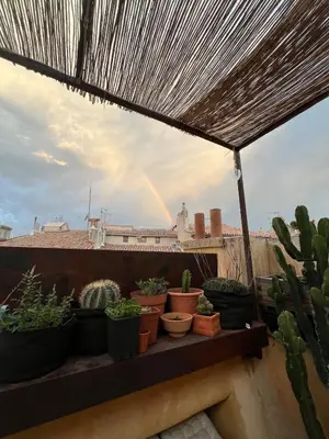 a view of a rainbow from a rooftop with potted plants at Exceptional apartment in Aix-en-Provence