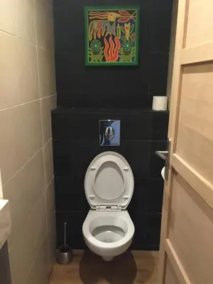 a bathroom with a toilet with a picture on the wall at AJOUCADOU premiere loge in Lourmarin