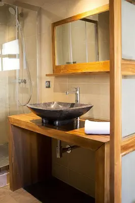a bathroom with a sink and a shower at AJOUCADOU premiere loge in Lourmarin