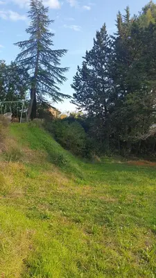 a grassy field with a tree on a hill at Petite maison sur Apt in Apt