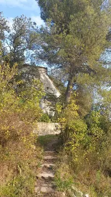 a stairway leading up to a tree on a hill at Petite maison sur Apt in Apt