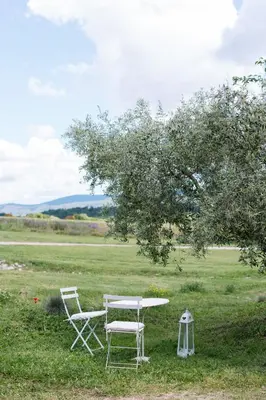 a table and two chairs under a tree in a field at Domaine de la barbeirasse in Céreste