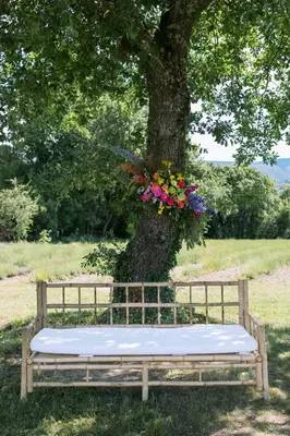 a bench sitting in front of a tree with flowers at Domaine de la barbeirasse in Céreste