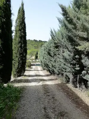 a dirt road with trees on either side at La Petite Maison de Marie Louise in Lauris
