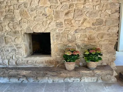 two potted plants sitting on a stone fireplace at Le Jas à Goult in Goult