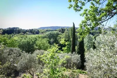 a view of a garden with trees and bushes at Le Hameau des Sources Lourmarin Luberon in Lourmarin
