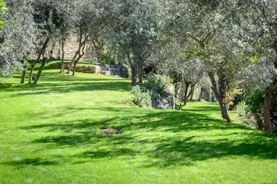 a field of green grass with trees on it at Le Hameau des Sources Lourmarin Luberon in Lourmarin