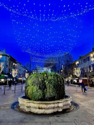a large bush in the middle of a city at night at Perle Aix en Provence centre ville in Aix-en-Provence