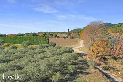 a road through a vineyard in the fall at Domaine Arterra I Parc privé, Piscine & Tennis in Lauris