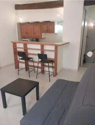 a living room with a kitchen with a table and chairs at Grand Studio Aix-En-Provence in Aix-en-Provence