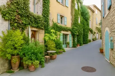 an alley with plants on the side of a building at Rock House Pool & Authentic 17th-Century Home in Goult