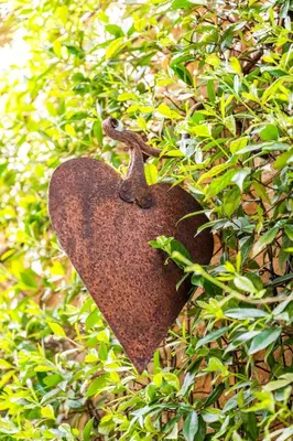 a heart shaped object is hanging in a bush at Rock House Pool & Authentic 17th-Century Home in Goult