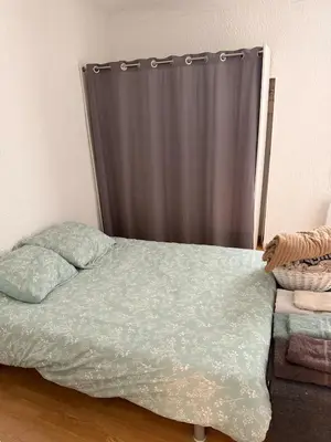 a bed with a gray curtain in a bedroom at T2 spacieux en hyper centre pour 1 à 5 personnes in Aix-en-Provence
