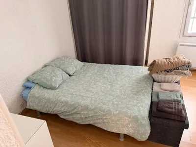 a bedroom with a bed with a green comforter and pillows at T2 spacieux en hyper centre pour 1 à 5 personnes in Aix-en-Provence