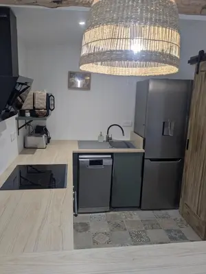 a kitchen with a sink and a refrigerator and a chandelier at Le gîte du domaine de Sinaca Villa in Sénas