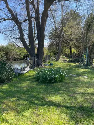 a yard with a tree and flowers in the grass at Les Oliviers- Bed and Breakfast in Velleron